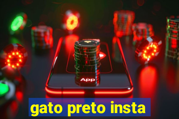 gato preto insta